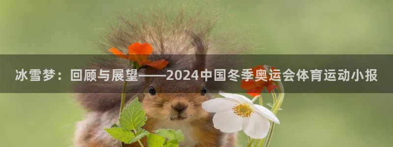 看球体育app：冰雪梦：回顾与展望——2024中国冬季奥运会体育运动小报