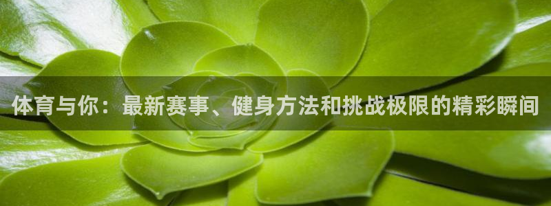 看球体育app下载安装：体育与你：最新赛事、健身方法和挑战极限的精彩瞬间