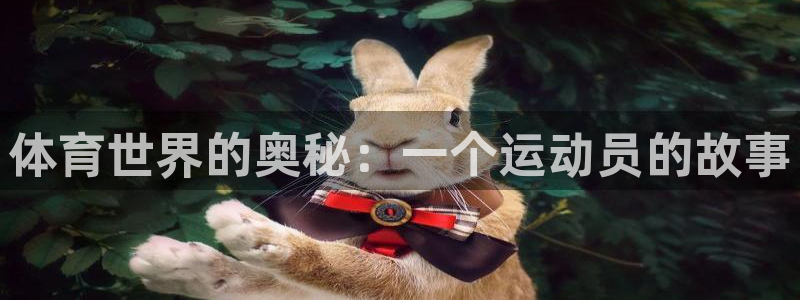 看球体育nba：体育世界的奥秘：一个运动员的故事