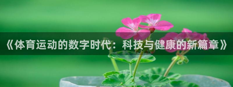 看球体育吧：《体育运动的数字时代：科技与健康的新篇章》