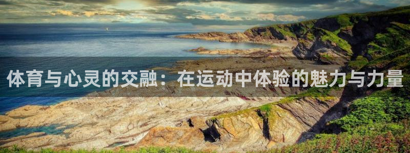 看球体育直播app官网免费：体育与心灵的交融：在运动中体验的魅力与力量