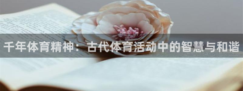 看球体育聚合app：千年体育精神：古代体育活动中的智慧与和谐